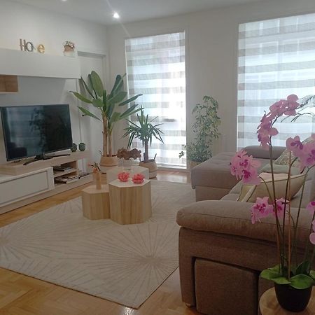 Super Apartamento Santiago Santiago de Compostela Dış mekan fotoğraf